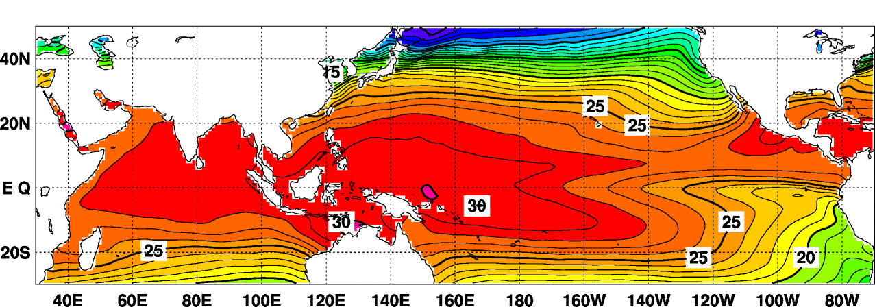 海面水温の平年値(１１月)