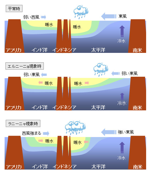 図1 エルニーニョ/ラニーニャ現象に伴うインド洋熱帯域の海洋変動