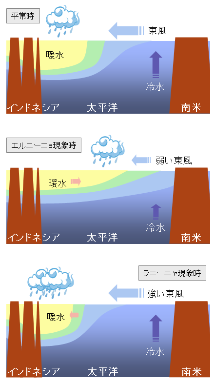 エルニーニョ/ラニーニャ現象に伴う太平洋熱帯域の大気と海洋の変動