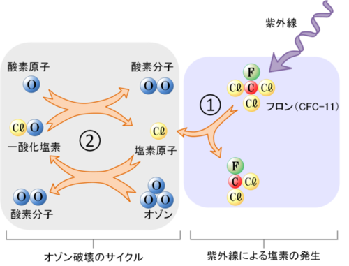 上部成層圏でのオゾン破壊