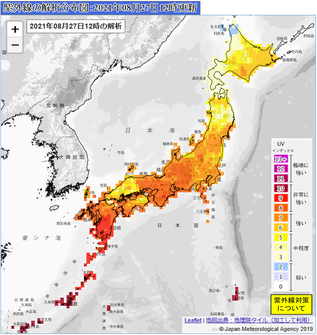 解析分布図