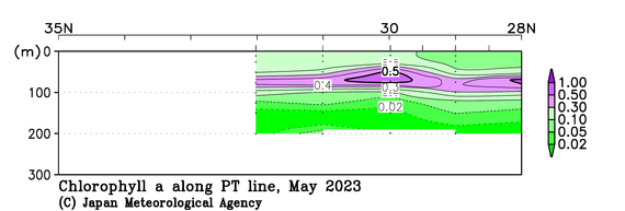 日本南方の2023年春季のクロロフィル