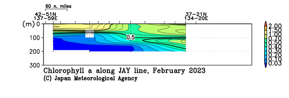 日本海の2023年冬季のクロロフィル