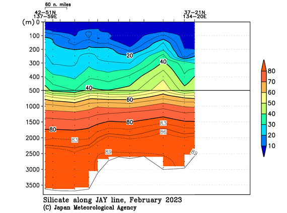 日本海の2023年冬季のケイ酸塩
