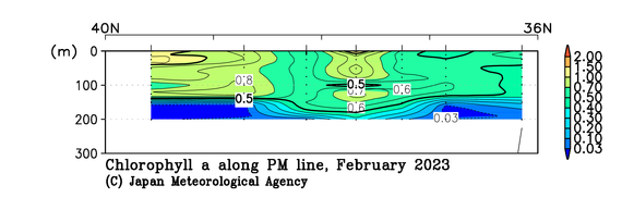 日本海の2023年冬季のクロロフィル