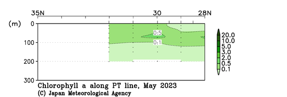 関東沖海域の2023年春季のクロロフィル