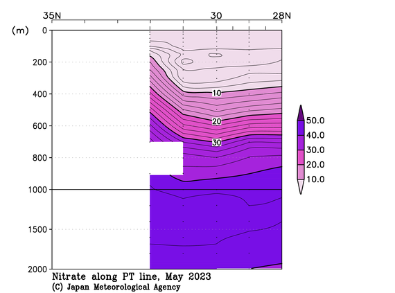 関東沖海域の2023年春季の硝酸塩