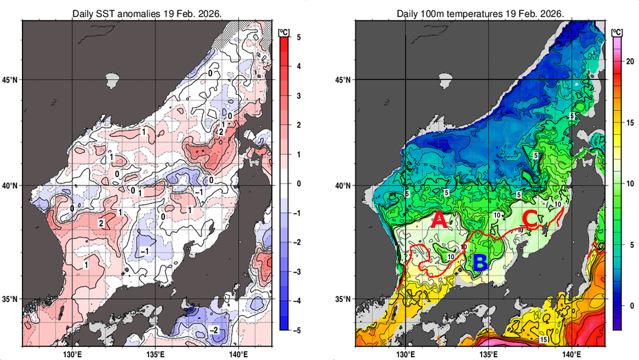 日本海の海面水温平年差分布図および深さ100mの水温分布図（2月19日）