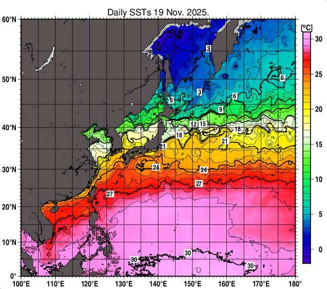 北西太平洋の海面水温分布図（11月19日）