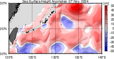 海面高度偏差 実況