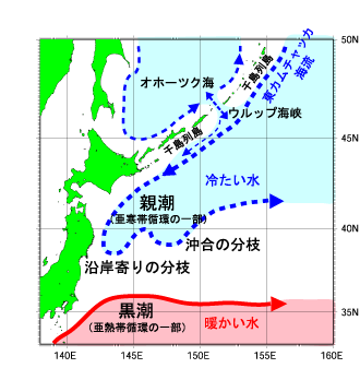 親潮の流れ