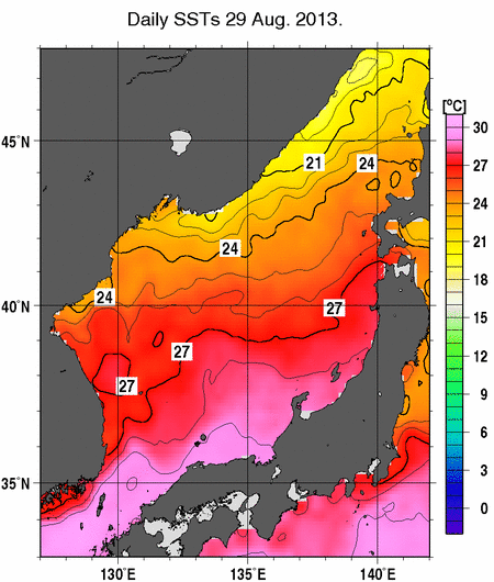 日本海の海面水温分布図（8月29日）