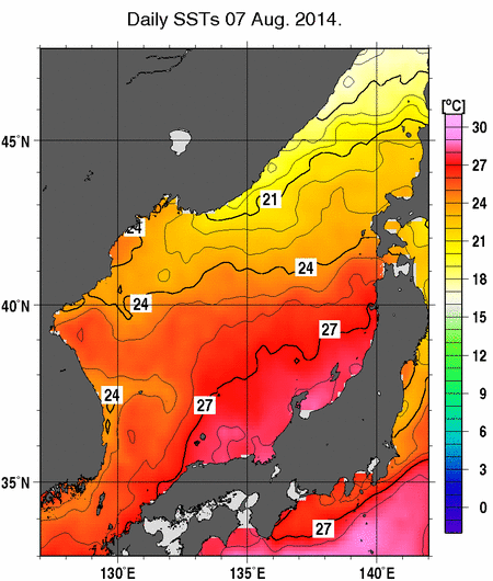 日本海の海面水温分布図（8月7日）