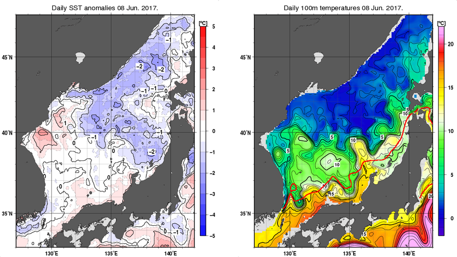 日本海の海面水温平年差分布図および深さ100mの水温分布図（6月8日）