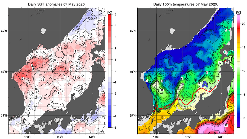 日本海の海面水温平年差分布図および深さ100mの水温分布図（5月7日）