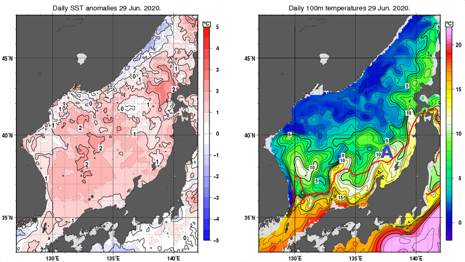 日本海の海面水温平年差分布図および深さ100mの水温分布図（6月29日）