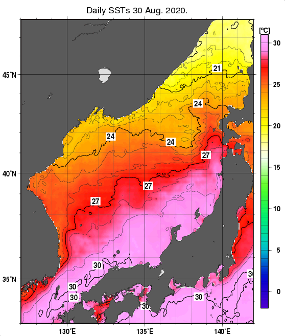 日本海の海面水温分布図（8月30日）