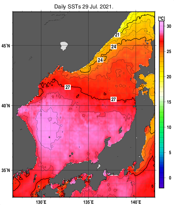 日本海の海面水温分布図（7月29日）