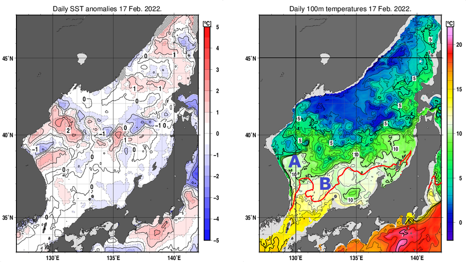 日本海の海面水温平年差分布図および深さ100mの水温分布図（2月17日）
