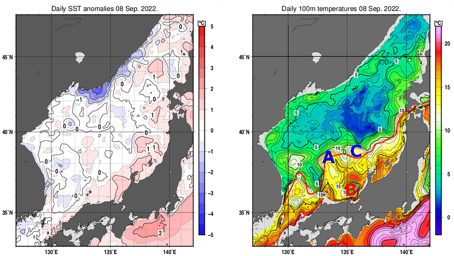 日本海の海面水温平年差分布図および深さ100mの水温分布図（9月8日）