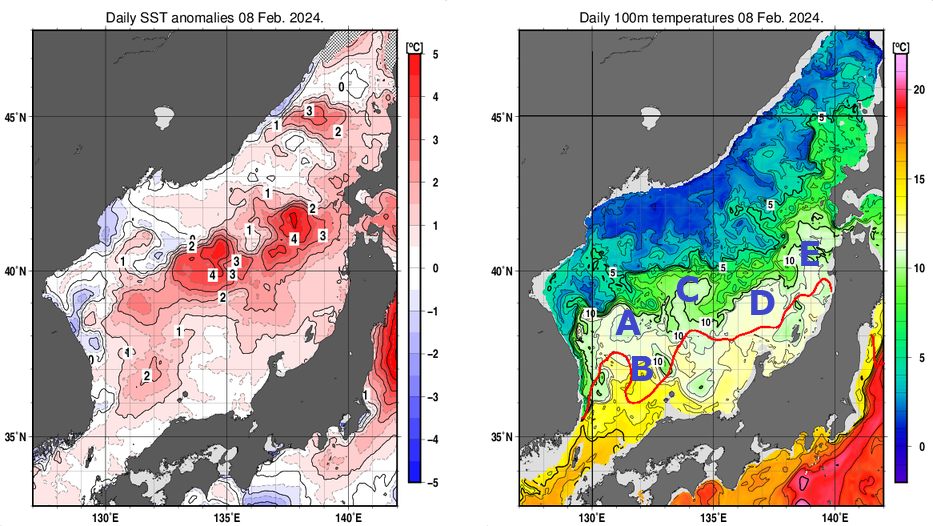 日本海の海面水温平年差分布図および深さ100mの水温分布図（2月8日）