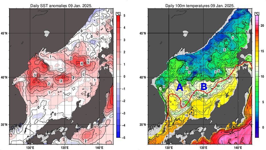 日本海の海面水温平年差分布図および深さ100mの水温分布図（1月9日）