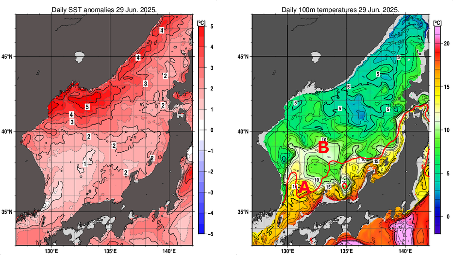 日本海の海面水温平年差分布図および深さ100mの水温分布図（6月29日）