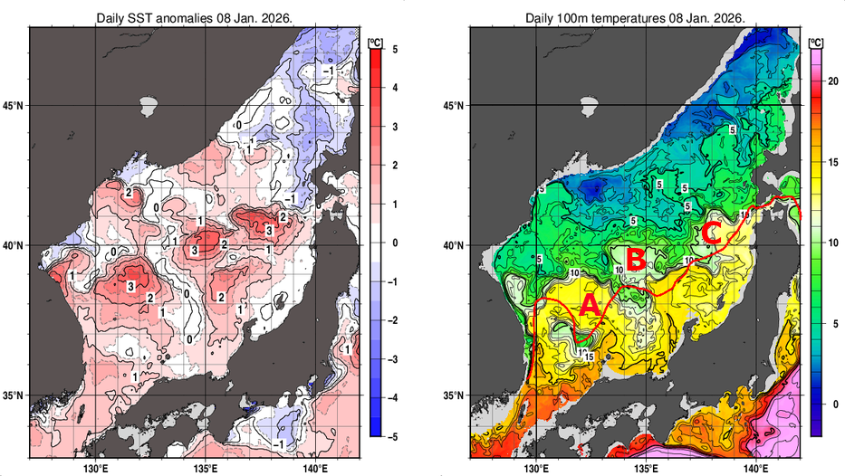 日本海の海面水温平年差分布図および深さ100mの水温分布図（1月8日）