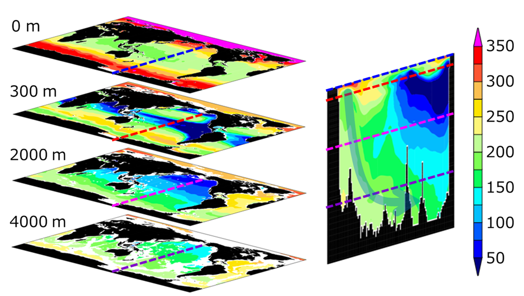 溶存酸素の全球分布