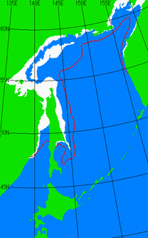 12月31日の海氷分布図