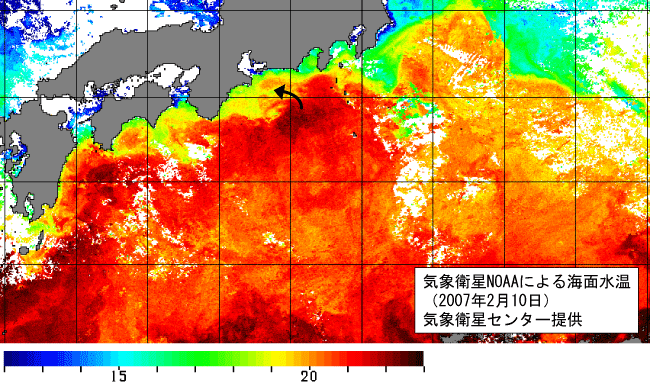 2007年2月2日のNOAA衛星海面水温図 