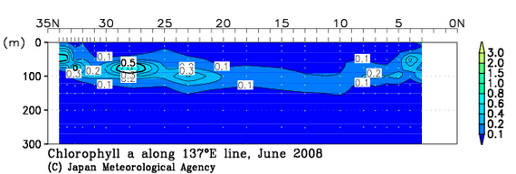 北西太平洋域の2008年夏季のクロロフィル