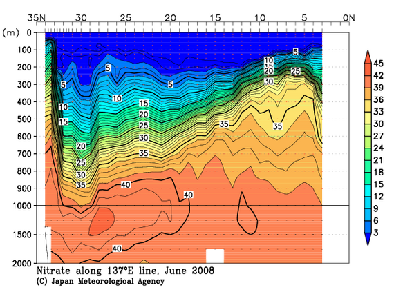 北西太平洋域の2008年夏季の硝酸塩