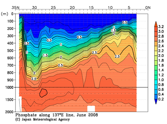 北西太平洋域の2008年夏季のリン酸塩