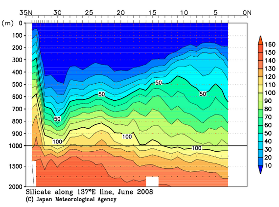 北西太平洋域の2008年夏季のケイ酸塩