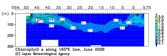 北西太平洋域の2008年夏季のクロロフィル