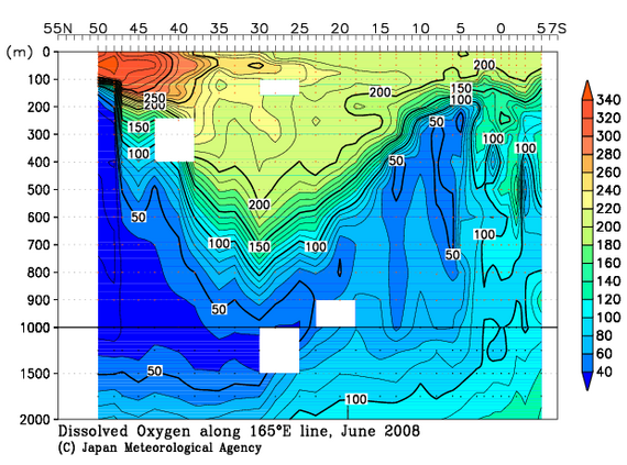 北西太平洋域の2008年夏季の溶存酸素量
