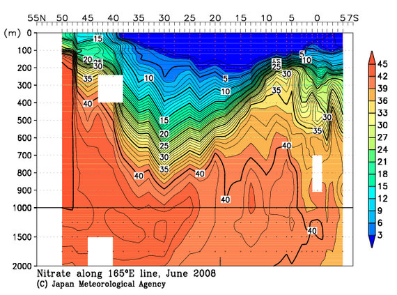北西太平洋域の2008年夏季の硝酸塩