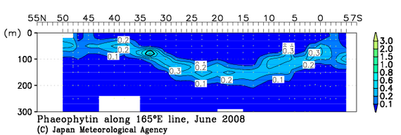北西太平洋域の2008年夏季のフェオフィチン