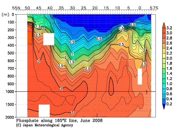 北西太平洋域の2008年夏季のリン酸塩