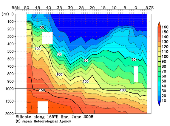 北西太平洋域の2008年夏季のケイ酸塩