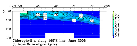 北西太平洋域の2008年夏季のクロロフィル