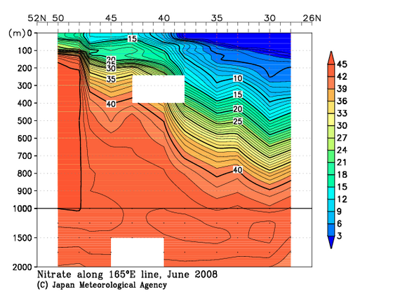 北西太平洋域の2008年夏季の硝酸塩