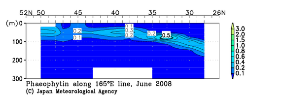 北西太平洋域の2008年夏季のフェオフィチン