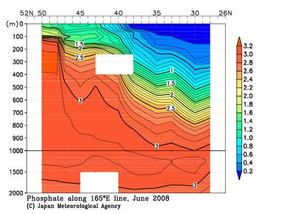 北西太平洋域の2008年夏季のリン酸塩