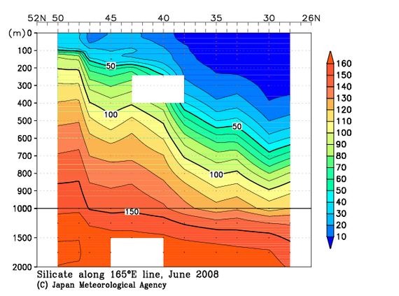 北西太平洋域の2008年夏季のケイ酸塩