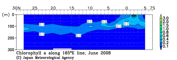 北西太平洋域の2008年夏季のクロロフィル