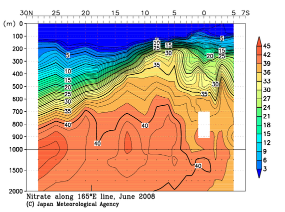 北西太平洋域の2008年夏季の硝酸塩