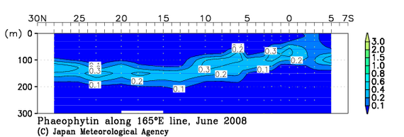 北西太平洋域の2008年夏季のフェオフィチン