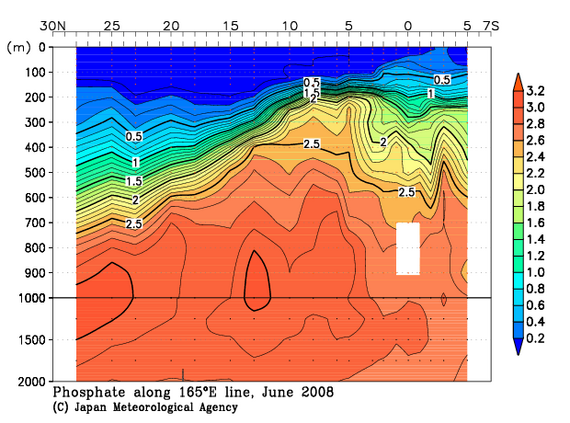 北西太平洋域の2008年夏季のリン酸塩